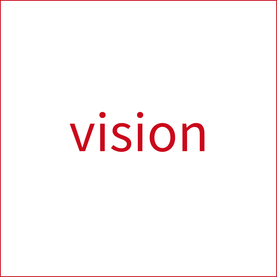 vision